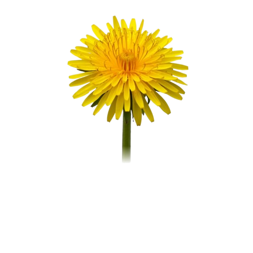 Brytpunkten - Symbol för förändring